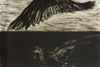 박철호 <work-1> 1999   Charcoal on paper, 110 x 80 cm